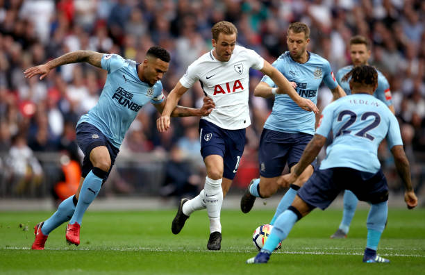 甲赛场收获 甲赛场收获