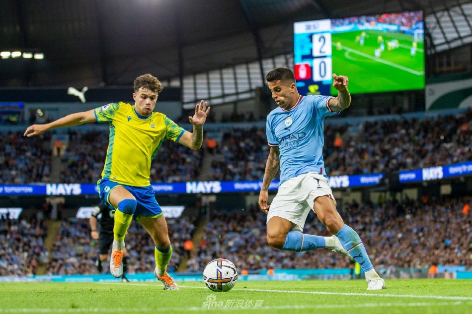 才得以参与 才得以参与